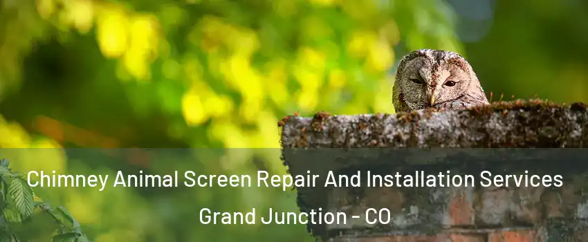  Chimney Animal Screen Repair And Installation Services Grand Junction - CO