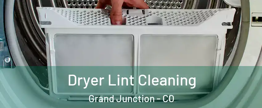  Dryer Lint Cleaning Grand Junction - CO
