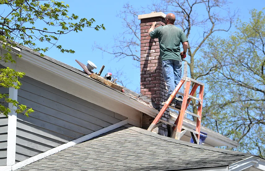 Chimney & Fireplace Inspections Services in Grand Junction, CO