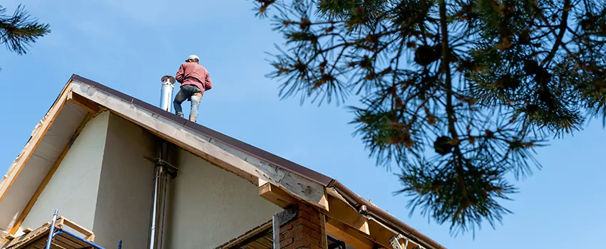 Birds Removal Contractors from Chimney in Grand Junction, CO