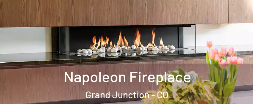  Napoleon Fireplace Grand Junction - CO