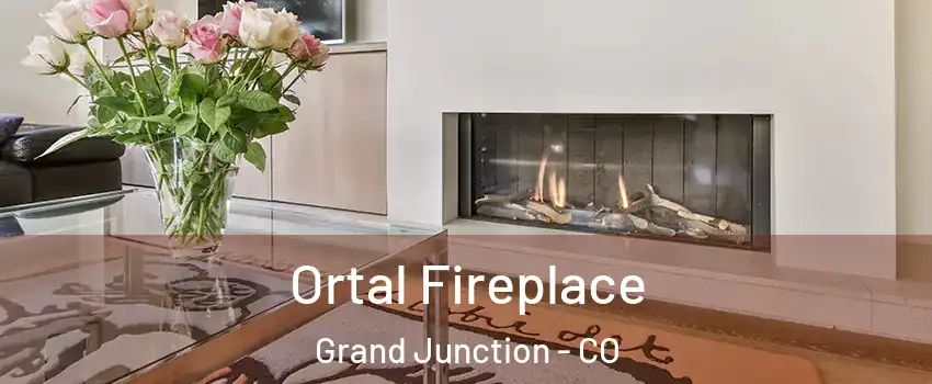  Ortal Fireplace Grand Junction - CO